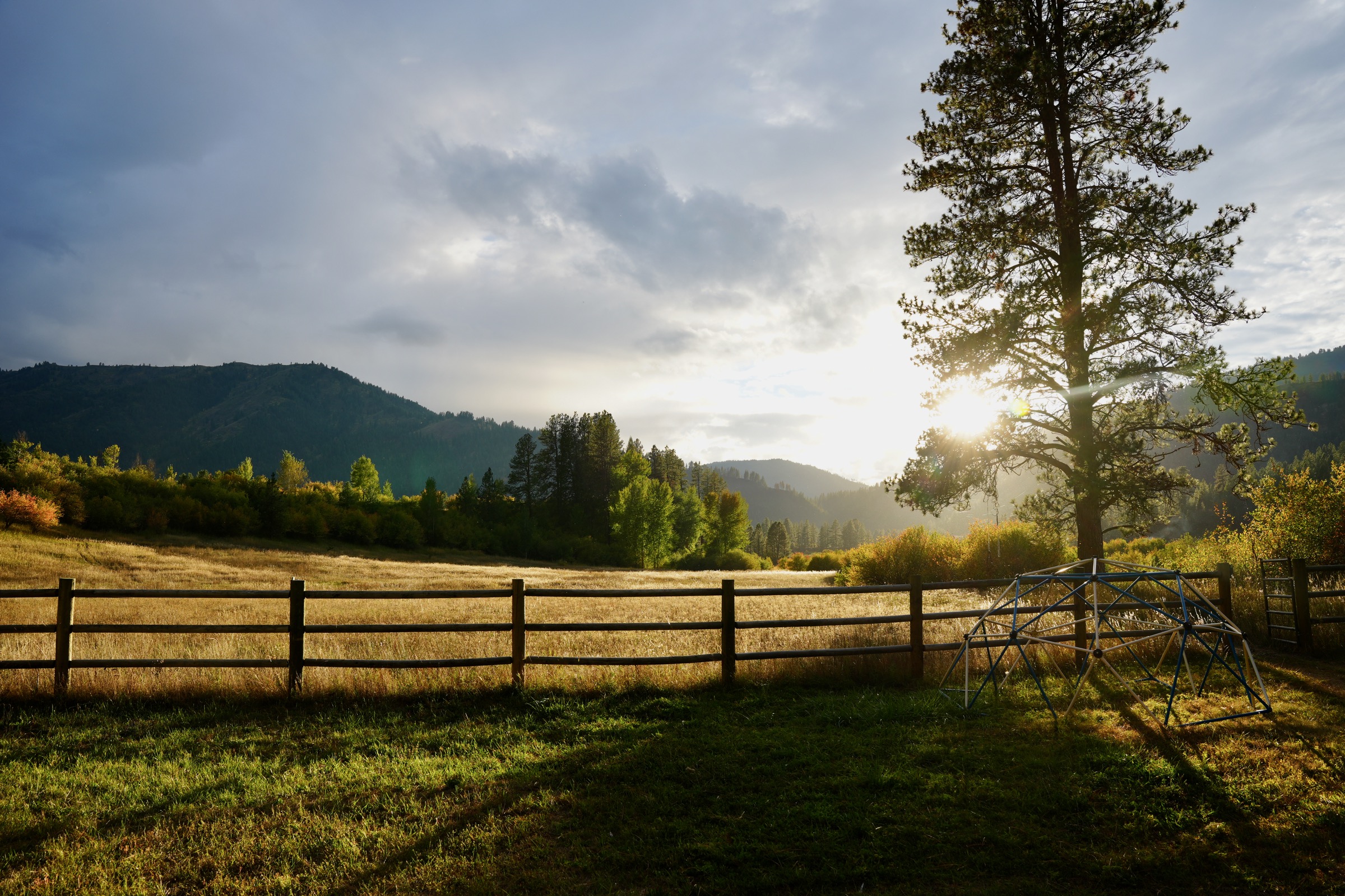 Golden evening light over the fenced meadow and pines on the property