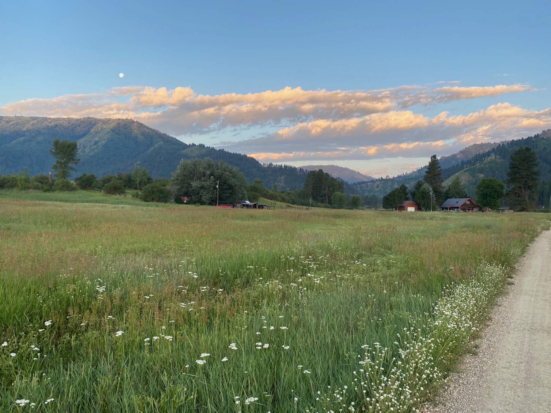 View up the gravel lane across the meadow toward the property at dusk